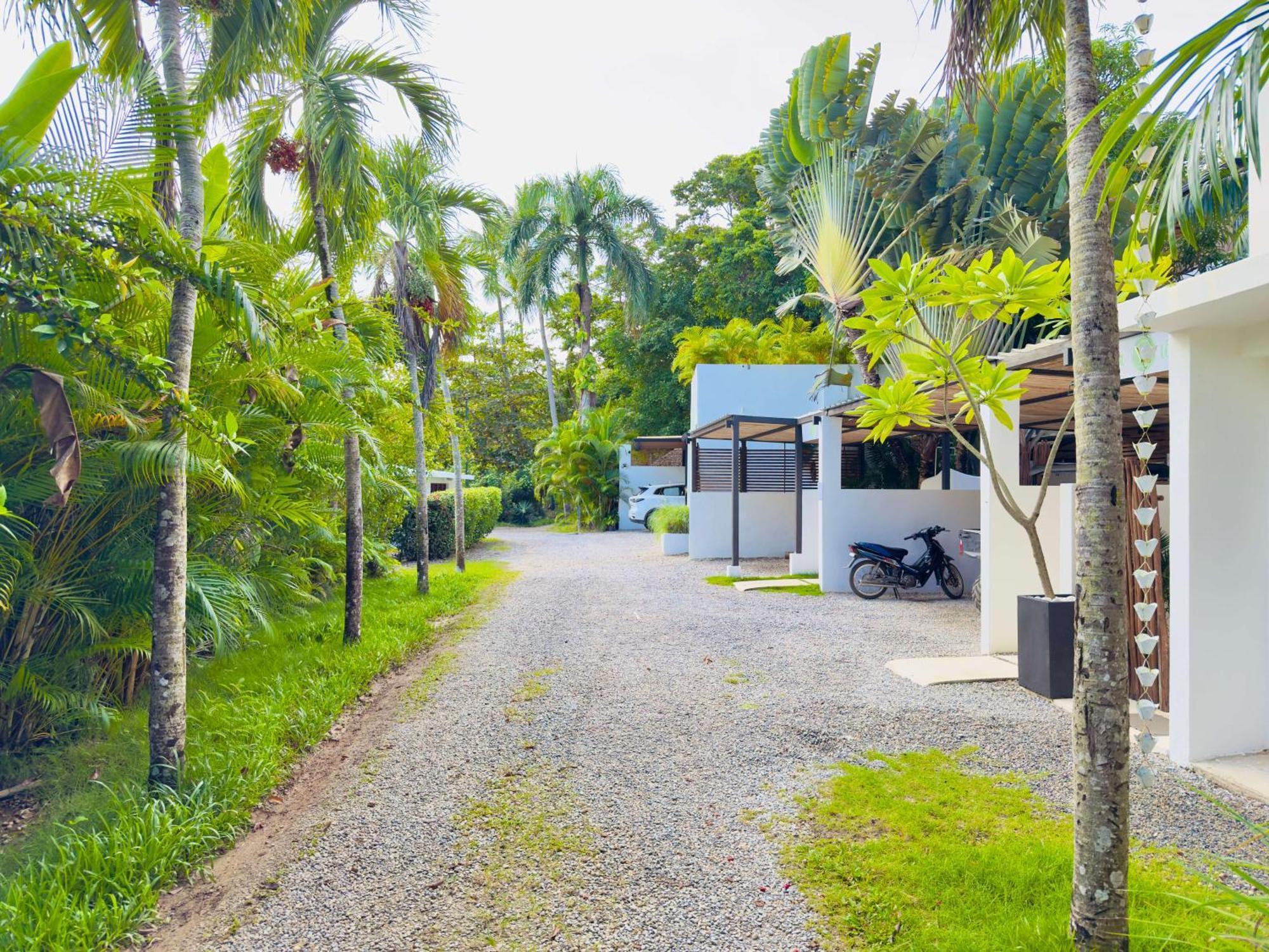 Appartement Soul Dream Bonita à Las Terrenas Extérieur photo
