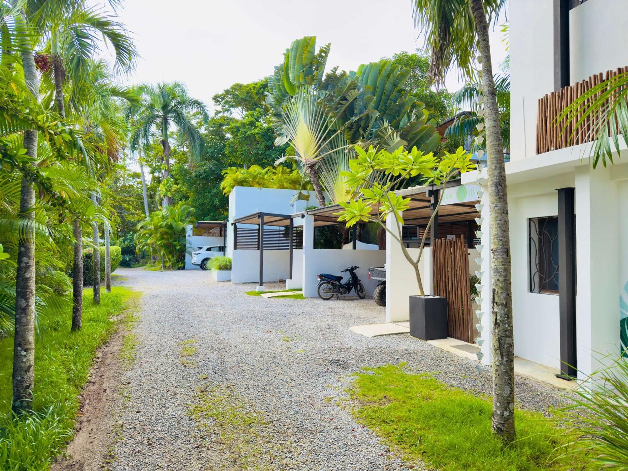 Appartement Soul Dream Bonita à Las Terrenas Extérieur photo